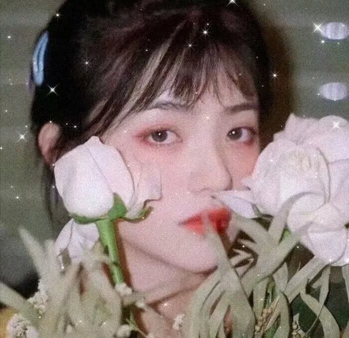 区委书记(电影)